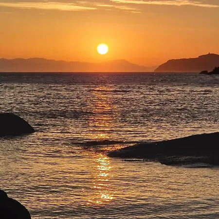 Briosa קסטיאדס