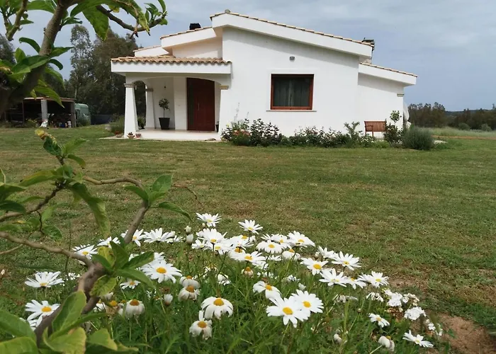 Briosa Nocleg ze śniadaniem