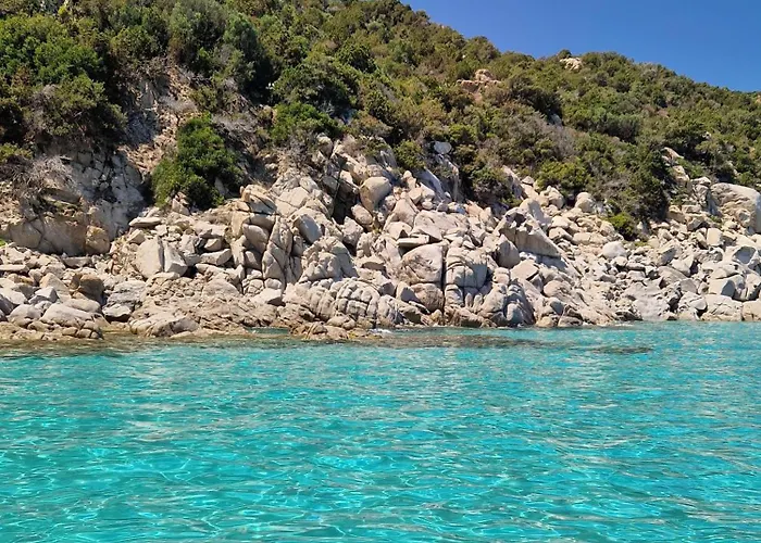 Briosa Nocleg ze śniadaniem