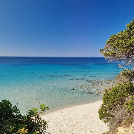 Bed and breakfast Briosa 3*