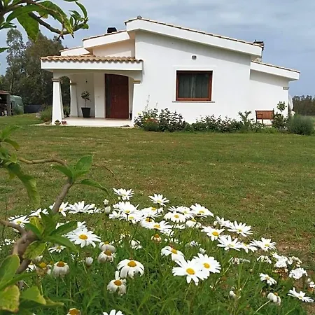 Panzió Briosa